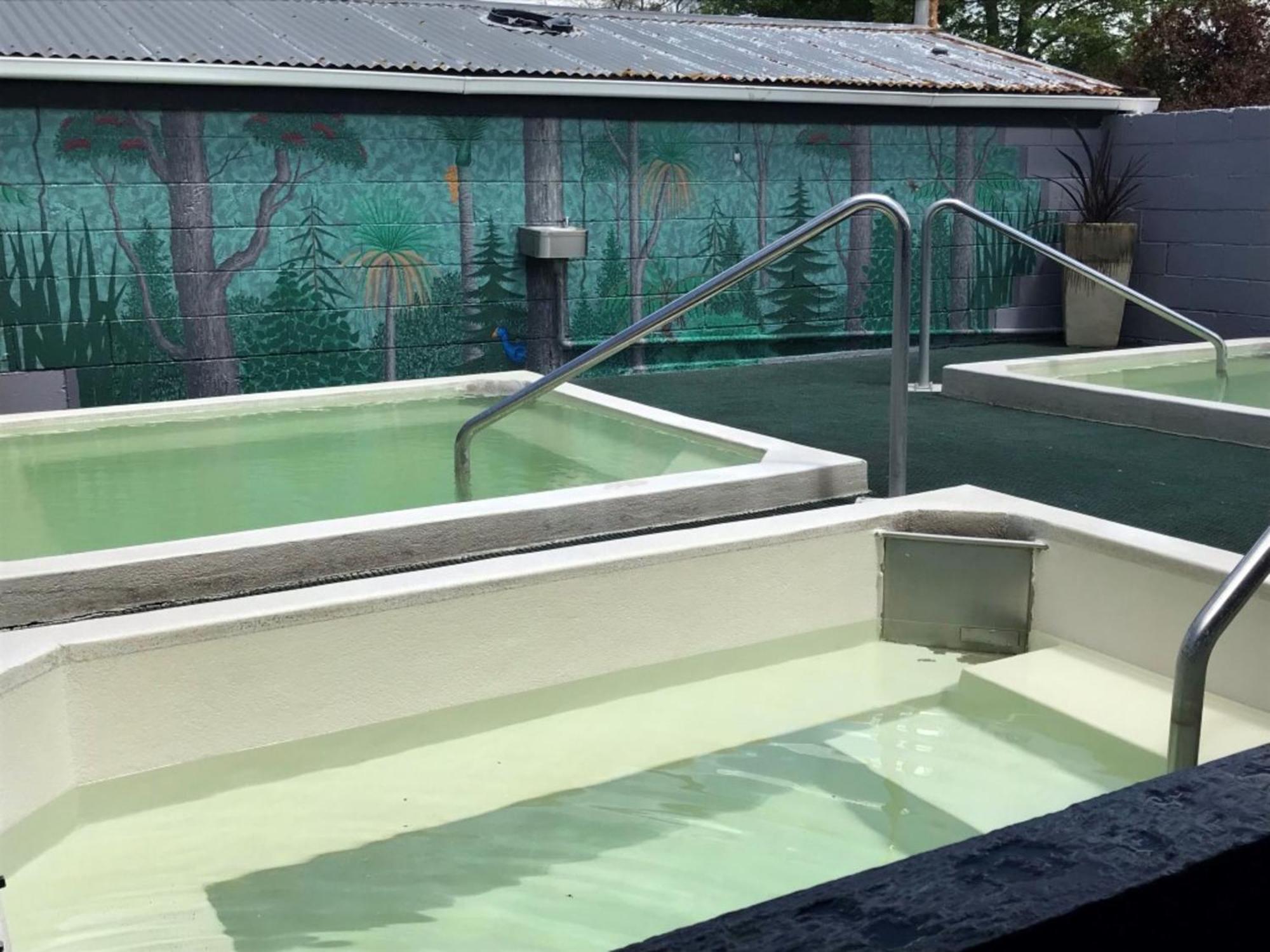 Rotorua Thermal Holiday Park Ngoại thất bức ảnh